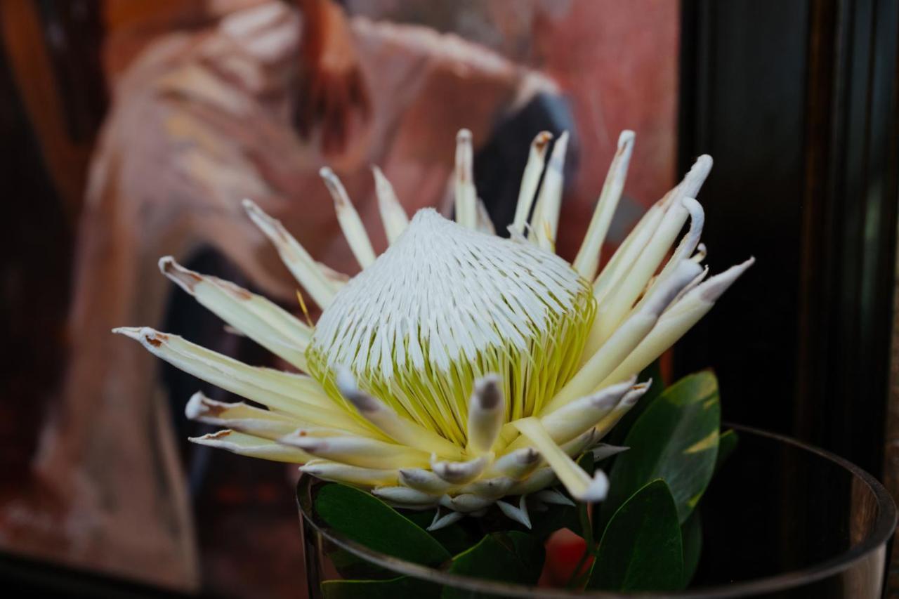 Terra Casa Guesthouse Rustenburg Eksteriør billede